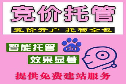 竞价SEM托管服务在市场推广中的应用